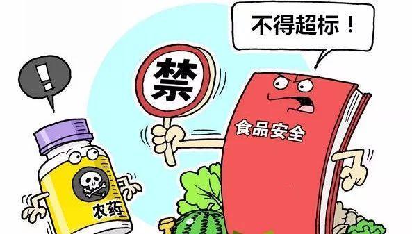 净菜加工设备火热原来是新版农残标准涵盖品种和限量数增加(图1)