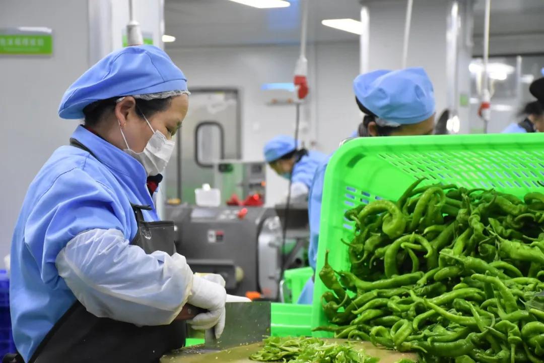 净菜屡现食品安全问题，净菜加工还有销售市场吗？工厂该如何选择(图1)