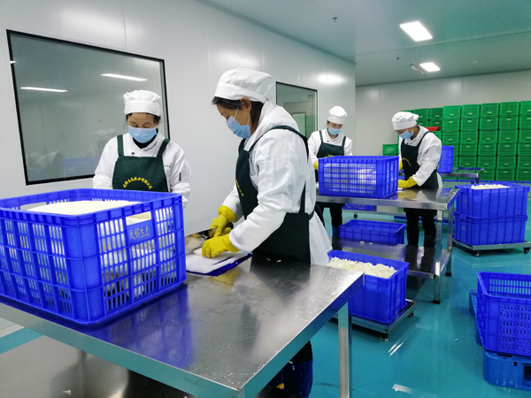 净菜加工整套生产线 净菜加工设备 清洗风干切制全套设备定制