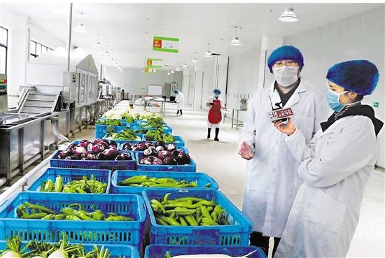 净菜加工设备 沙拉加工生产线的加工流程是怎样的？(图1)